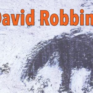 award-winning author david robbins